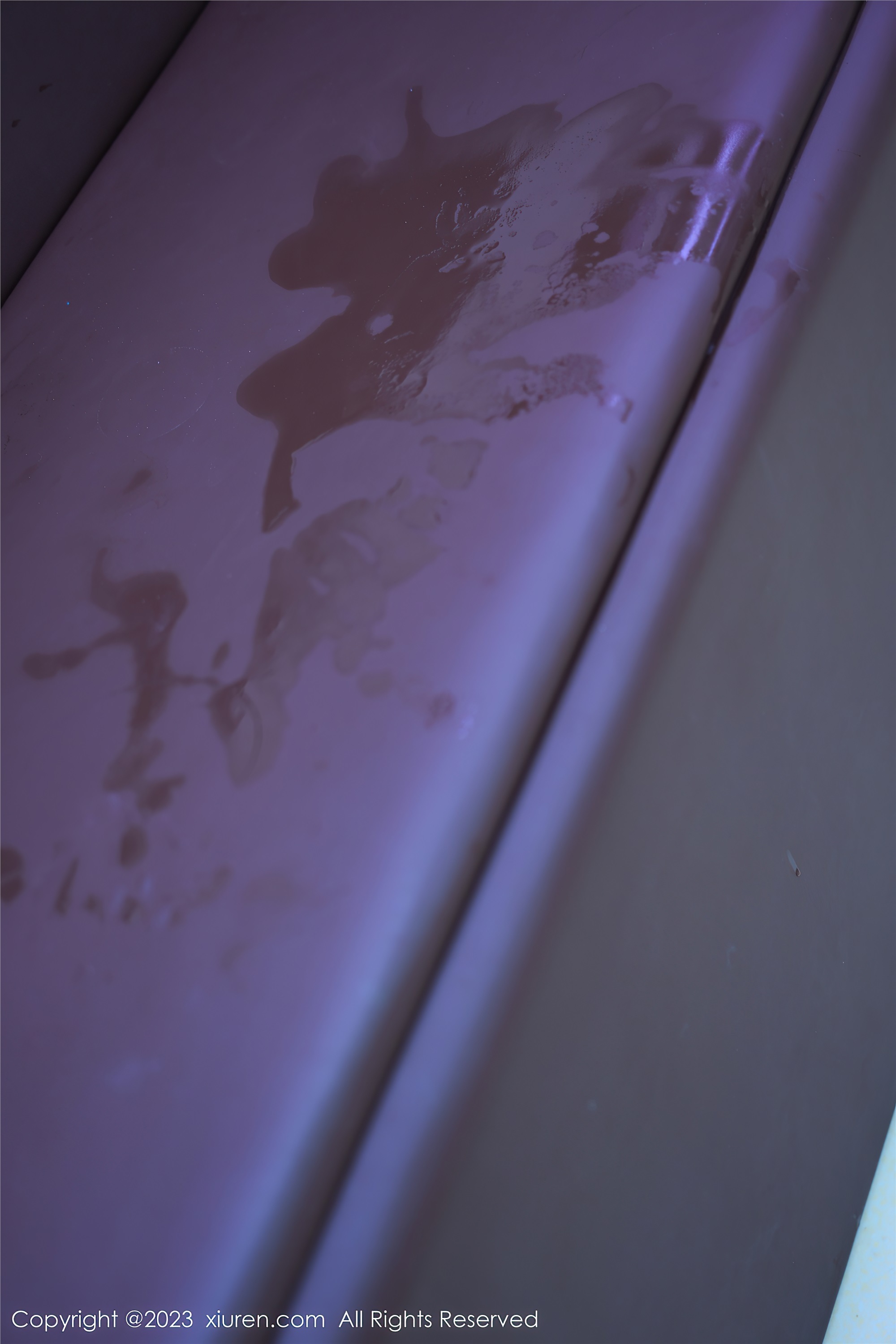 XiuRen秀人网  2023.06.09 NO.6888 Carol周妍希